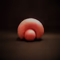SEPR