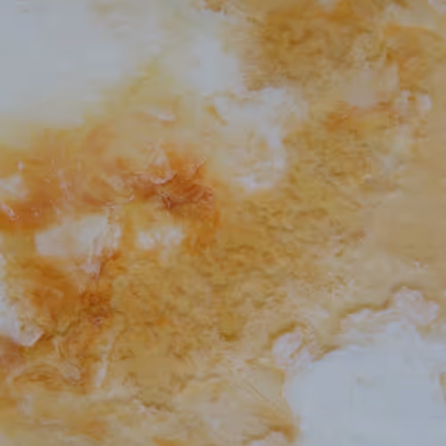 Elsewhere Collection