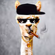 Thug Life Alpaca