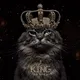 King_cat