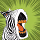 Screaming Zebra