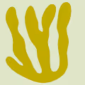Colorful Kelp