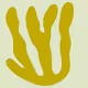 Colorful Kelp