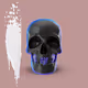 DOPE DOMES NFTs