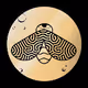 Cosmic Roach