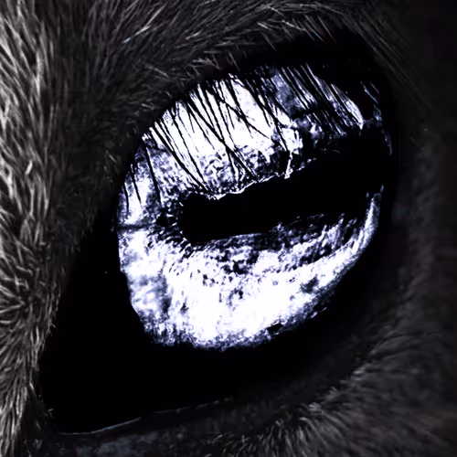 JMV Video Art Collection