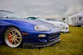 The Car Scene Collection