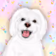 "Marshmallow" Cute dog