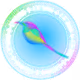 Bird Freedom Arts