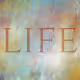 LIFE: AN ENDLESS CANVAS OF CREATION