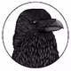 Clever Crows