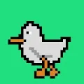 Mainstream Ducks
