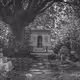 Graveyard Walks | Volume 1