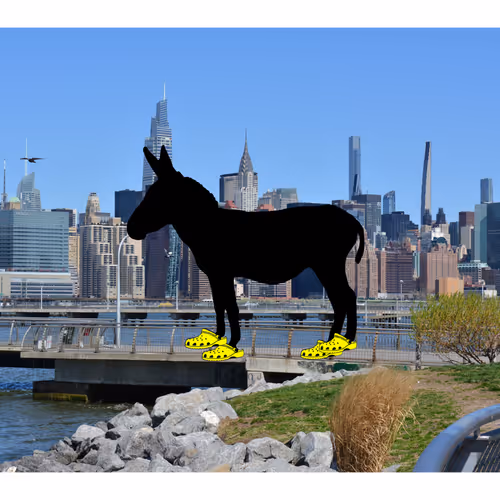 MykonosDonkeys