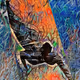 Arruda's Art