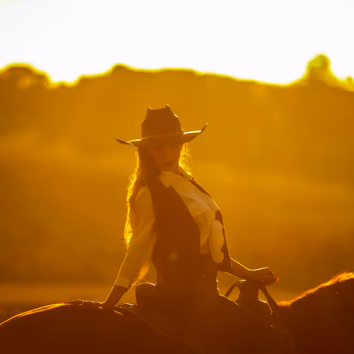 Ranch and horses