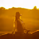 Ranch and horses
