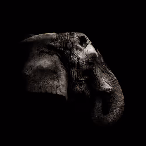 fiction | non-fiction