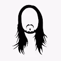 Steve Aoki