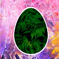 Tweet DAO Eggs