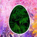 Tweet DAO Eggs