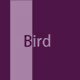 Birdiswhat