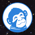 12 Crazy Monkeys