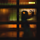 between lights and emotions