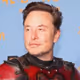 Elon Musk Meme Collection