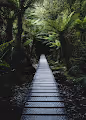 Fine Art Photography | New-Zealand