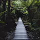 Fine Art Photography | New-Zealand