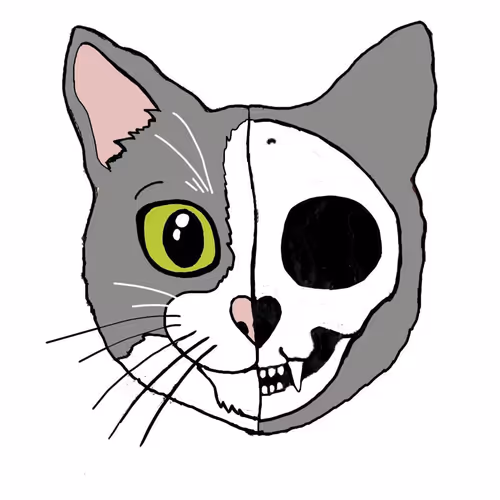 Schrodinger's cat