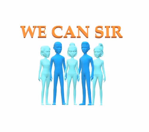 We Can Sir Inaugural NFT Collection