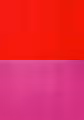 55 Sunrises Curated - Art Basel Miami Beach 2021