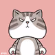 Cat Toys