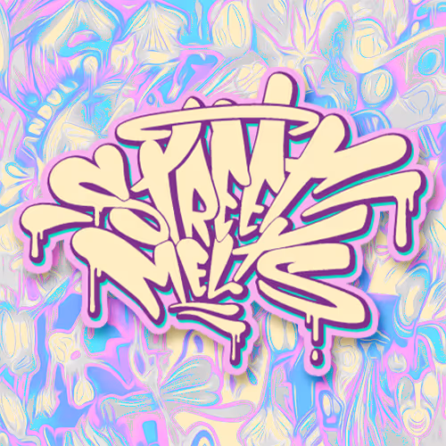 THE VANDULISED - By Street Melts