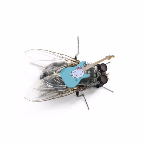 Johnny and Mr. Green ethereum