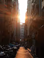 dd - RZeLFTXtJu