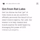 Rat Labs 🚀
