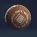 WoF Official Match Ball