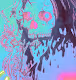 Acid Trip 420