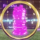 CONDOM V2