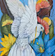 Colour of bird. - old