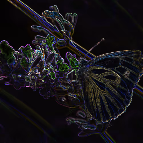 Lighten up after the dark V2