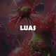 Life Under Alien Skies - Plant Life