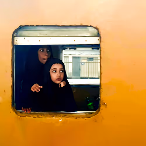 D Gallery (Photography)