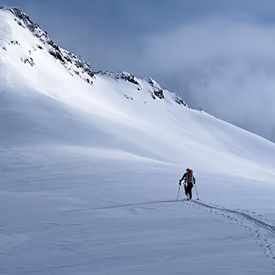 Introspecto by Guillaume