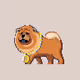 Happy Chowchows