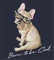 Swag Dog - old