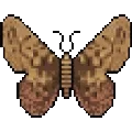 Crypto Moth